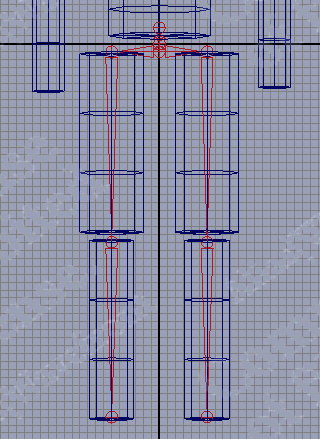 [MCMT-06-LwrSkeleton]