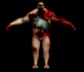 Unused Brute model.