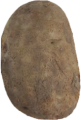 Thumbnail for version as of 12:24, 6 September 2026