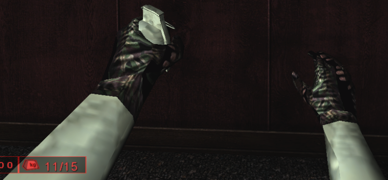 File:Concussion1stPerson.png