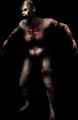 The main menu splash screen of the Stalker.