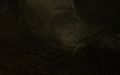 Thumbnail for version as of 07:21, 7 September 2026
