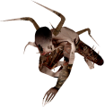 Thumbnail for version as of 07:21, 7 September 2026